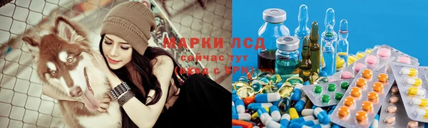 ГАЛЛЮЦИНОГЕННЫЕ ГРИБЫ Абаза