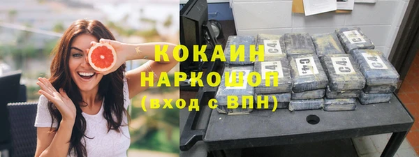 прущие грибы Абинск