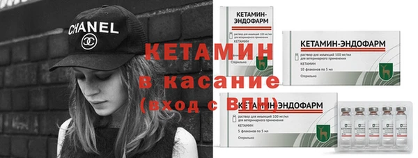 прущие грибы Абинск