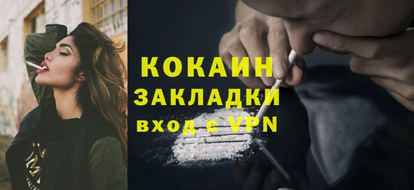 ГАЛЛЮЦИНОГЕННЫЕ ГРИБЫ Абаза