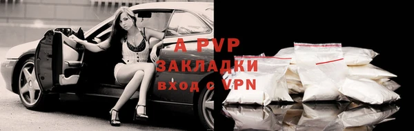 прущие грибы Абинск