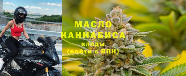 прущие грибы Абинск