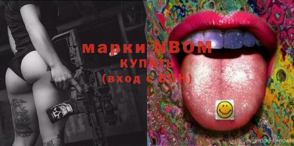 прущие грибы Абинск