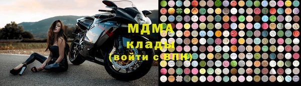 прущие грибы Абинск