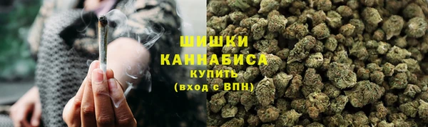 прущие грибы Абинск